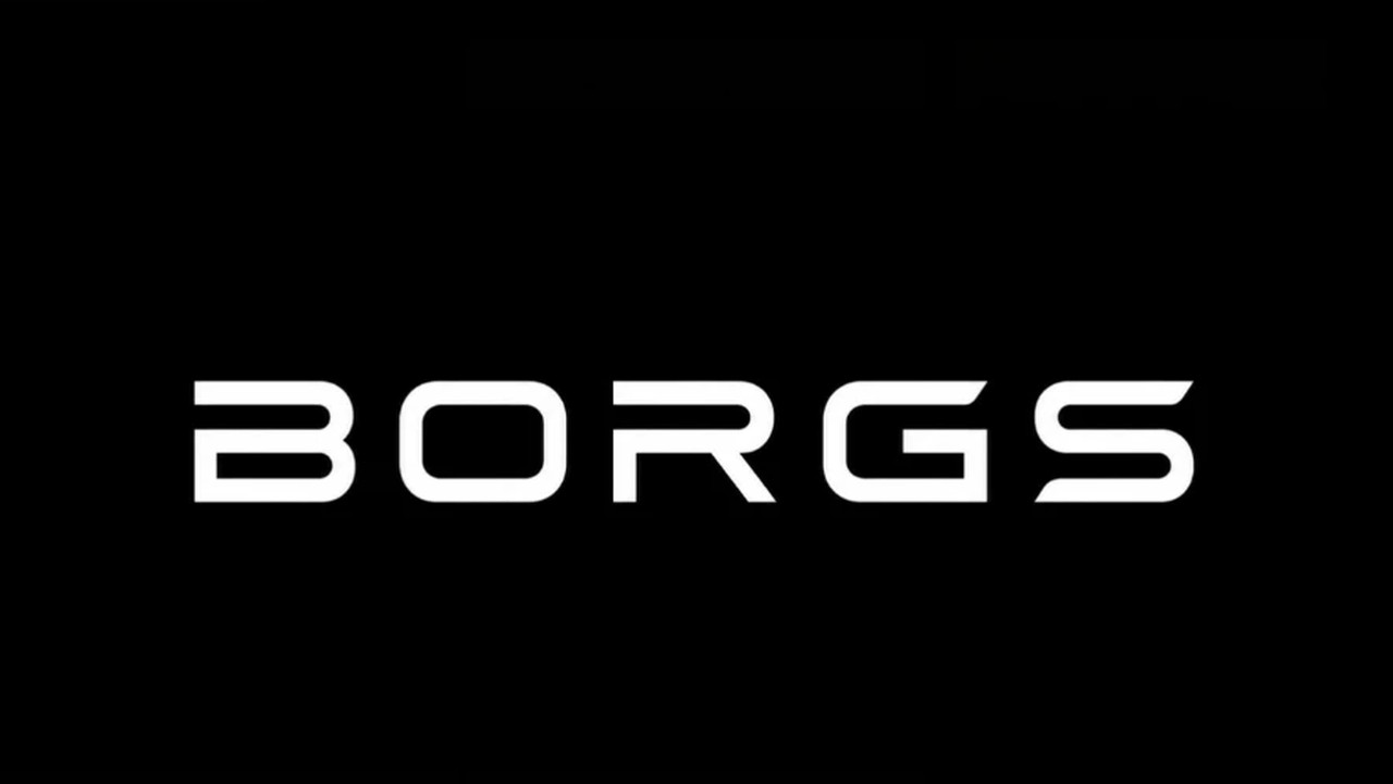 Offizielles Borgs®-Logo